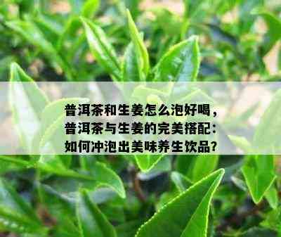 普洱茶和生姜怎么泡好喝，普洱茶与生姜的完美搭配：如何冲泡出美味养生饮品？