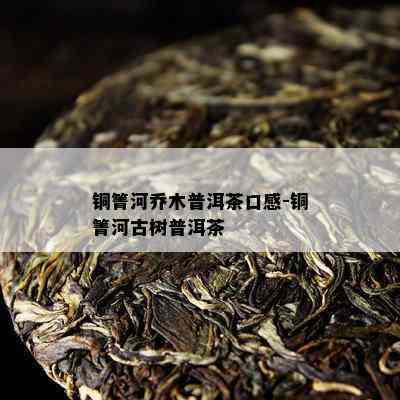 铜箐河乔木普洱茶口感-铜箐河古树普洱茶