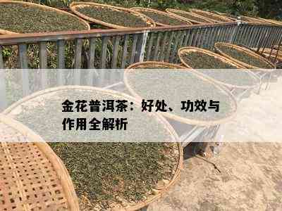 金花普洱茶：好处、功效与作用全解析