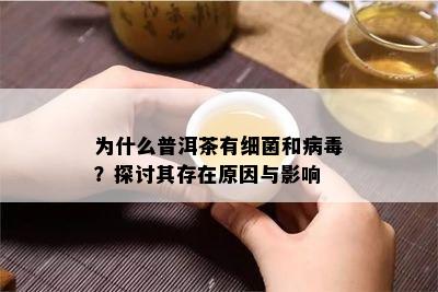 为什么普洱茶有细菌和病？探讨其存在原因与影响