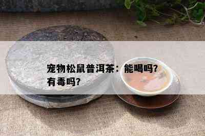 宠物松鼠普洱茶：能喝吗？有吗？