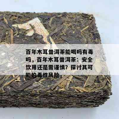 百年木耳普洱茶能喝吗有吗，百年木耳普洱茶：安全饮用还是需谨慎？探讨其可能的性风险