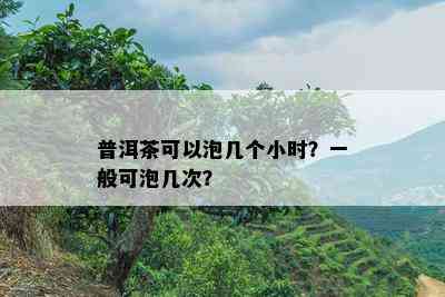 普洱茶可以泡几个小时？一般可泡几次？