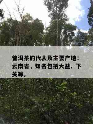 普洱茶的代表及主要产地：云南省，知名包括大益、下关等。