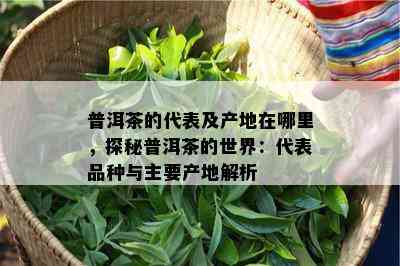 普洱茶的代表及产地在哪里，探秘普洱茶的世界：代表品种与主要产地解析