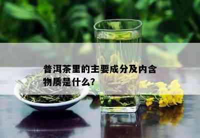 普洱茶里的主要成分及内含物质是什么？