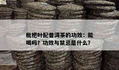 枇杷叶配普洱茶的功效：能喝吗？功效与禁忌是什么？