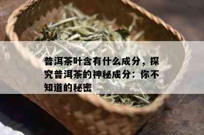 普洱茶叶含有什么成分，探究普洱茶的神秘成分：你不知道的秘密