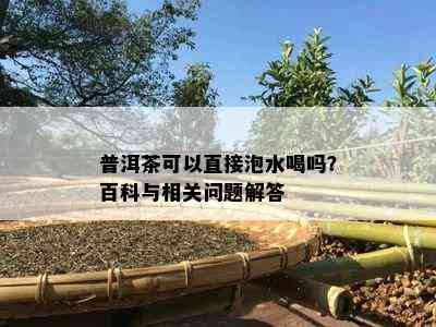 普洱茶可以直接泡水喝吗？百科与相关问题解答