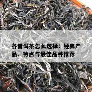 各普洱茶怎么选择：经典产品、特点与更佳品种推荐