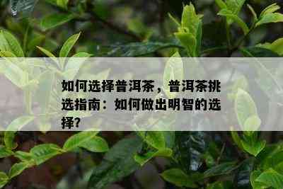 如何选择普洱茶，普洱茶挑选指南：如何做出明智的选择？