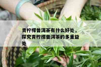 青柠檬普洱茶有什么好处，探究青柠檬普洱茶的多重益处