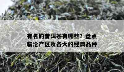 有名的普洱茶有哪些？盘点临沧产区及各大的经典品种