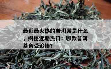 最近最火热的普洱茶是什么，揭秘近期热门：哪款普洱茶备受追捧？