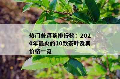 热门普洱茶排行榜：2020年最火的10款茶叶及其价格一览