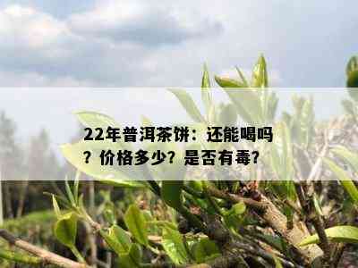 22年普洱茶饼：还能喝吗？价格多少？是否有？