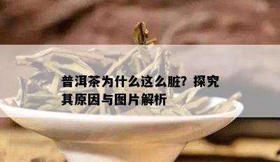 普洱茶为什么这么脏？探究其原因与图片解析