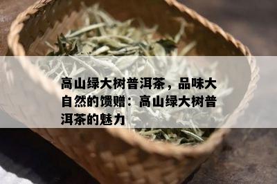 高山绿大树普洱茶，品味大自然的馈赠：高山绿大树普洱茶的魅力