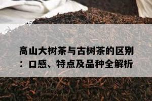 高山大树茶与古树茶的区别：口感、特点及品种全解析