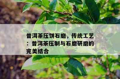 普洱茶压饼石磨，传统工艺：普洱茶压制与石磨研磨的完美结合