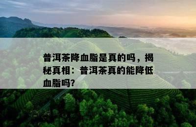 普洱茶降血脂是真的吗，揭秘真相：普洱茶真的能降低血脂吗？