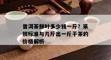 普洱茶鲜叶多少钱一斤？采摘标准与几斤出一斤干茶的价格解析