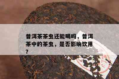 普洱茶茶虫还能喝吗，普洱茶中的茶虫，是否影响饮用？