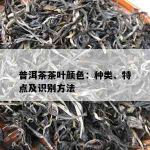 普洱茶茶叶颜色：种类、特点及识别方法