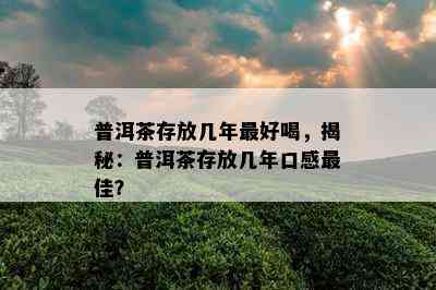 普洱茶存放几年更好喝，揭秘：普洱茶存放几年口感更佳？