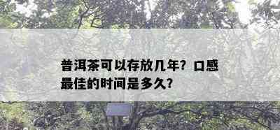 普洱茶可以存放几年？口感更佳的时间是多久？