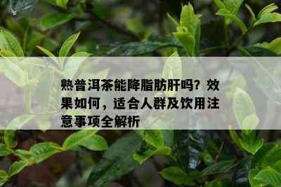 熟普洱茶能降脂肪肝吗？效果如何，适合人群及饮用注意事项全解析