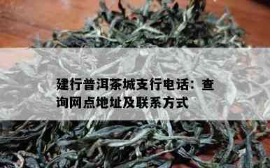 建行普洱茶城支行电话：查询网点地址及联系方式