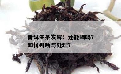 普洱生茶发霉：还能喝吗？如何判断与处理？