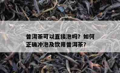 普洱茶可以直接泡吗？如何正确冲泡及饮用普洱茶？