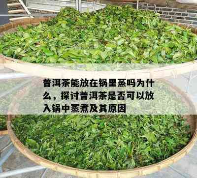 普洱茶能放在锅里蒸吗为什么，探讨普洱茶是否可以放入锅中蒸煮及其原因