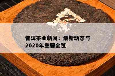 普洱茶业新闻：最新动态与2020年重要全览