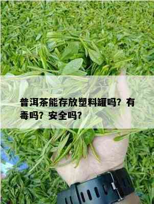 普洱茶能存放塑料罐吗？有吗？安全吗？