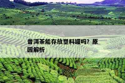 普洱茶能存放塑料罐吗？原因解析