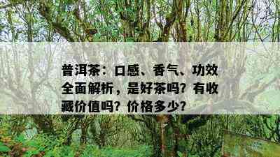 普洱茶：口感、香气、功效全面解析，是好茶吗？有收藏价值吗？价格多少？