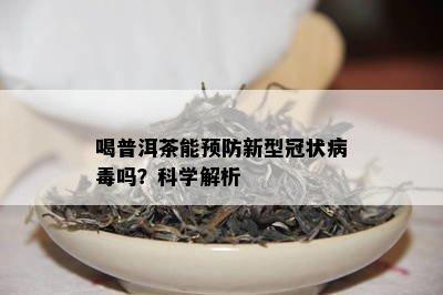 喝普洱茶能预防新型冠状病吗？科学解析