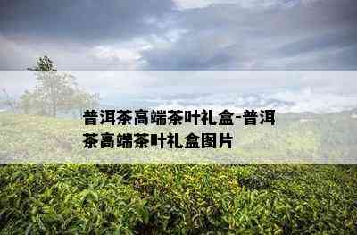 普洱茶高端茶叶礼盒-普洱茶高端茶叶礼盒图片