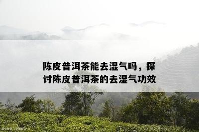 陈皮普洱茶能去湿气吗，探讨陈皮普洱茶的去湿气功效