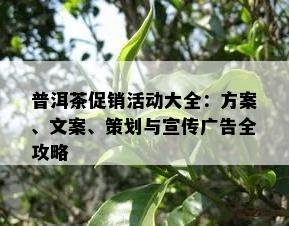 普洱茶促销活动大全：方案、文案、策划与宣传广告全攻略