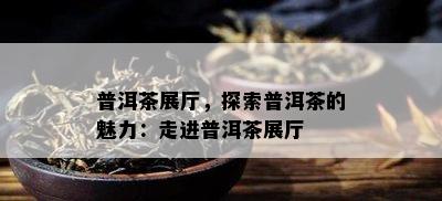 普洱茶展厅，探索普洱茶的魅力：走进普洱茶展厅