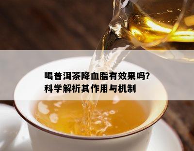 喝普洱茶降血脂有效果吗？科学解析其作用与机制