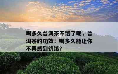 喝多久普洱茶不饿了呢，普洱茶的功效：喝多久能让你不再感到饥饿？