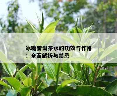 冰糖普洱茶水的功效与作用：全面解析与禁忌