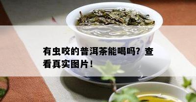 有虫咬的普洱茶能喝吗？查看真实图片！