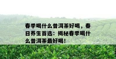 春季喝什么普洱茶好喝，春日养生首选：揭秘春季喝什么普洱茶更好喝！