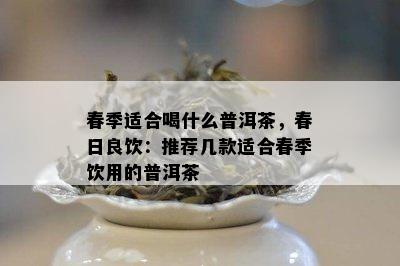 春季适合喝什么普洱茶，春日良饮：推荐几款适合春季饮用的普洱茶